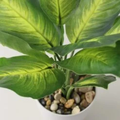 Artificial Dieffenbachia In White Plant Pot -Dunelm 1000158287 alt01