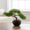 Artificial Bonsai Tree In Black Pot -Dunelm 30144622