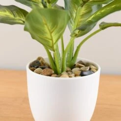 Artificial Dieffenbachia In White Plant Pot -Dunelm 30672986 alt02
