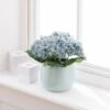 Artificial Teal Hydrangeas In Ceramic Plant Pot 2 Artificial Teal Hydrangeas In Ceramic Plant Pot -Dunelm 30687465