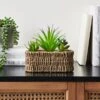 Artificial Succulents In Woven Plant Pot -Dunelm 30689660