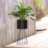 Black Plant Pot On Wire Stand