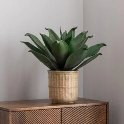 Artificial Agave In Bamboo Plant Pot 10 Artificial Agave In Bamboo Plant Pot -Dunelm 30726492 alt03