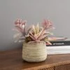 Churchgate Artificial Pink Succulents In Natural Plant Pot -Dunelm 30730202