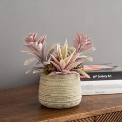 Churchgate Artificial Pink Succulents In Natural Plant Pot