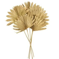 Dried Gold Sun Spear Bundle -Dunelm 30730255 alt04
