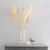 Dried Broom Grass 1 Dried Broom Grass -Dunelm 30734784