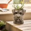 Schnauzer Head Plant Pot -Dunelm 30748366