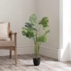 Artificial Cheese Plant In Black Plant Pot -Dunelm 30794563