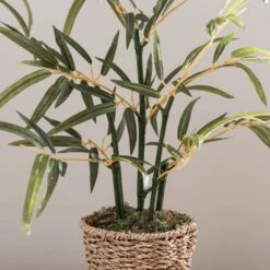 Artificial Small Bamboo In Woven Plant Pot -Dunelm 30796690 alt02