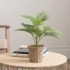 Artificial Small Palm In Woven Plant Pot 2 Artificial Small Palm In Woven Plant Pot -Dunelm 30796711