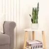 Artificial Sansevieria Plant In Cream Cement Plant Pot 1 Artificial Sansevieria Plant In Cream Cement Plant Pot -Dunelm 30864287