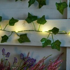 Ivy Garland 50 LED Indoor Outdoor String Lights -Dunelm 30864592 alt02