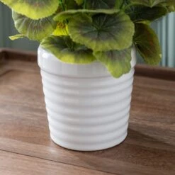 Artificial White Geranium In White Ceramic Plant Pot -Dunelm 30869205 alt03