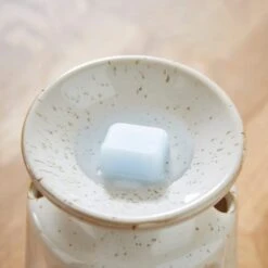 Set Of 6 Cotton And Blossom Wax Melts -Dunelm 30871000 alt01