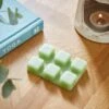 Set Of 6 Bergamot And Lime Wax Melts -Dunelm 30871001