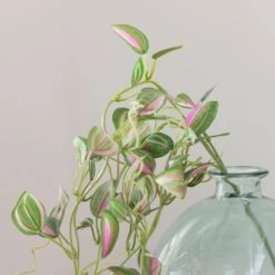 Artificial Tradescantia Vine Stem -Dunelm 30918297 alt02