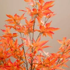 Artificial Maple Tree In Terracotta Plant Pot -Dunelm 30918341 alt03