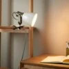 Miley Industrial Plug In Adjustable Clip On Desk Light -Dunelm 30921752