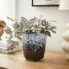 Spotty Reactive Glaze Plant Pot -Dunelm 30923184