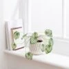 Artificial Peperomia Plant In Cream Ceramic Plant Pot -Dunelm 30923343