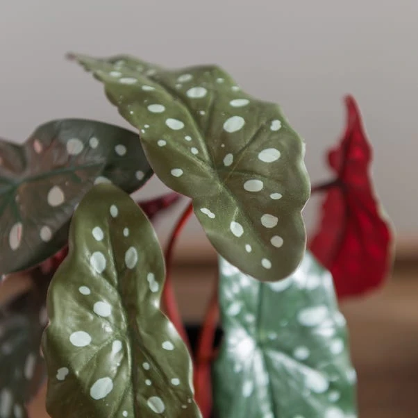 Artificial Begonia Plant In Black Plant Pot 4 Artificial Begonia Plant In Black Plant Pot - Image 2