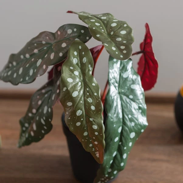 Artificial Begonia Plant In Black Plant Pot 5 Artificial Begonia Plant In Black Plant Pot - Image 3