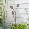 Garden Purple Iron Poppy Head Stake 1 Garden Purple Iron Poppy Head Stake -Dunelm 30925692