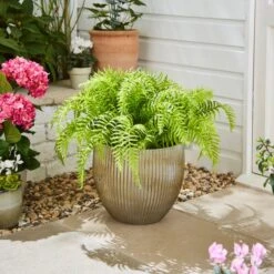 Artificial Fern In Ribbed Plant Pot