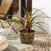 Faux Rattan Metal Plant Pot 2 Faux Rattan Metal Plant Pot -Dunelm 30925785