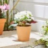 Artificial Geranium In Plant Pot -Dunelm 30926356