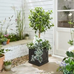 Artificial White Bay Tree With Floral Base In Square Black Plastic Plant Pot