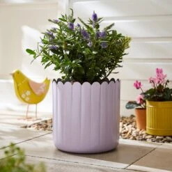 Bright Scalloped Metal Plant Pot 12 Bright Scalloped Metal Plant Pot -Dunelm 30926671