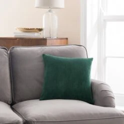 Velour Cushion -Dunelm 30927426