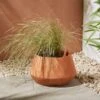 Terracotta Basket Plant Pot -Dunelm 30927964