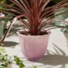 Pink Resin Lotus Flower Plant Pot 2 Pink Resin Lotus Flower Plant Pot -Dunelm 30927982