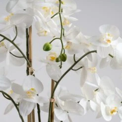 Artificial Real Touch Phalaenopsis Orchid In Stone Plant Pot -Dunelm 30958090 alt02