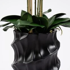Artificial Real Touch Phalaenopsis Orchid In Stone Plant Pot -Dunelm 30958090 alt03