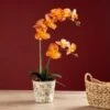 Artificial Real Touch Orange Phalaenopsis Orchid In Ceramic Plant Pot 2 Artificial Real Touch Orange Phalaenopsis Orchid In Ceramic Plant Pot -Dunelm 30958147