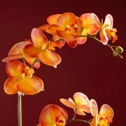 Artificial Real Touch Orange Phalaenopsis Orchid In Ceramic Plant Pot -Dunelm 30958147 alt02