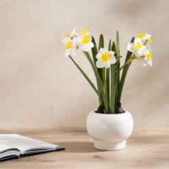 Artificial Daffodil Spray In Ceramic Plant Pot