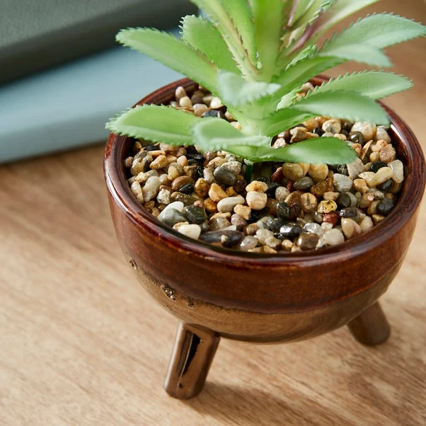Artificial Succulents In Brown Glazed Footed Plant Pot 4 Artificial Succulents In Brown Glazed Footed Plant Pot - Image 2