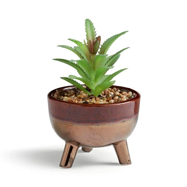 Artificial Succulents In Brown Glazed Footed Plant Pot 5 Artificial Succulents In Brown Glazed Footed Plant Pot - Image 3