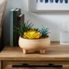Artificial Succulents In Terracotta Footed Plant Pot