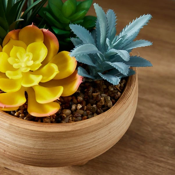 Artificial Succulents In Terracotta Footed Plant Pot 4 Artificial Succulents In Terracotta Footed Plant Pot - Image 2