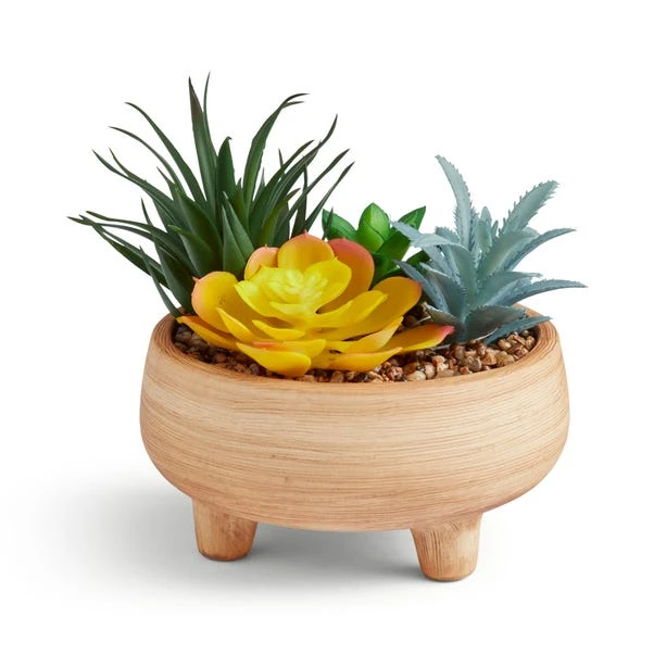 Artificial Succulents In Terracotta Footed Plant Pot 5 Artificial Succulents In Terracotta Footed Plant Pot - Image 3