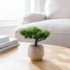 Artificial Bonsai Tree In Ceramic Plant Pot -Dunelm 30965279